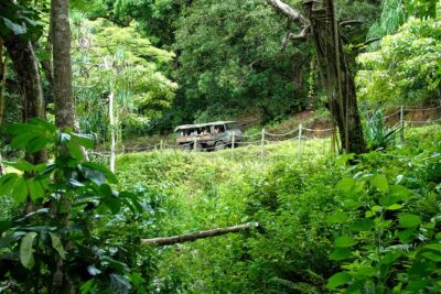 Kualoa Ranch: Jungle Expedition Tour - Your 1.5-hour route across Kualoa’s working land