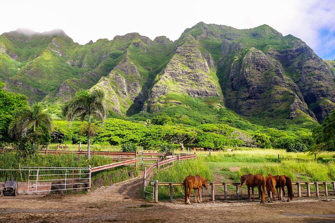 Kualoa Ranch - Kualoa Grown Tour - Key highlights worth clocking