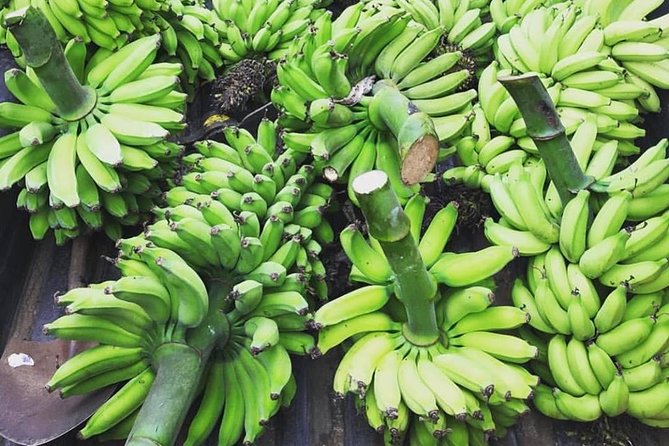 Kualoa Ranch - Kualoa Grown Tour - Tropical flower gardens: why this stop isn’t just pretty