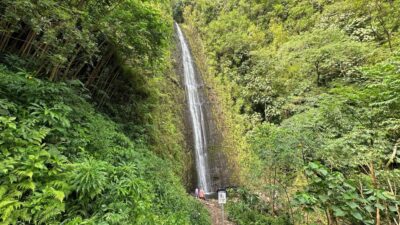 Manoa Falls eBike to Hike - Honolulu by E-Bike: Why the City Riding Feels Like Part of the Attraction