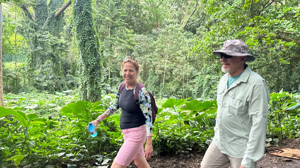 Manoa Falls eBike to Hike - Price and Value: What $169 Buys You (and What It Doesn’t)