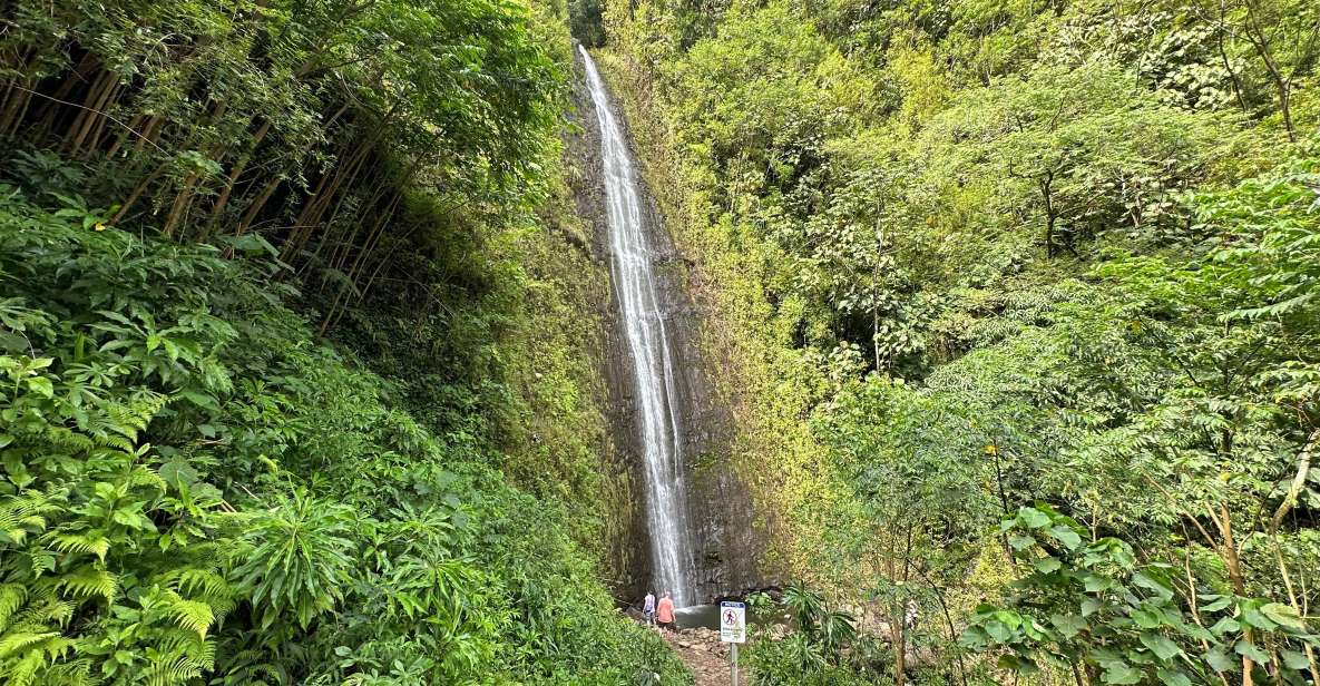 Manoa Falls eBike to Hike - Who This E-Bike to Mānoa Falls Tour Is Best For
