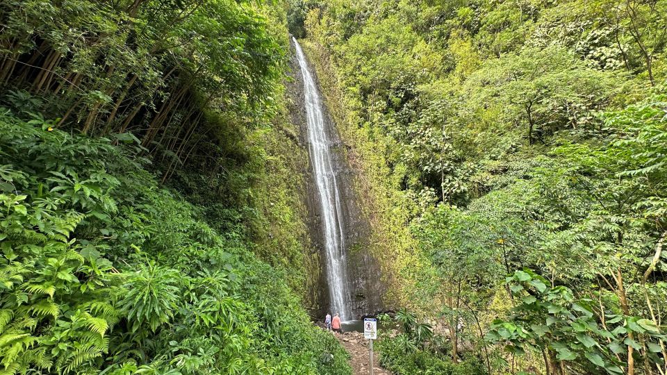 Manoa Falls eBike to Hike - Honolulu by E-Bike: Why the City Riding Feels Like Part of the Attraction