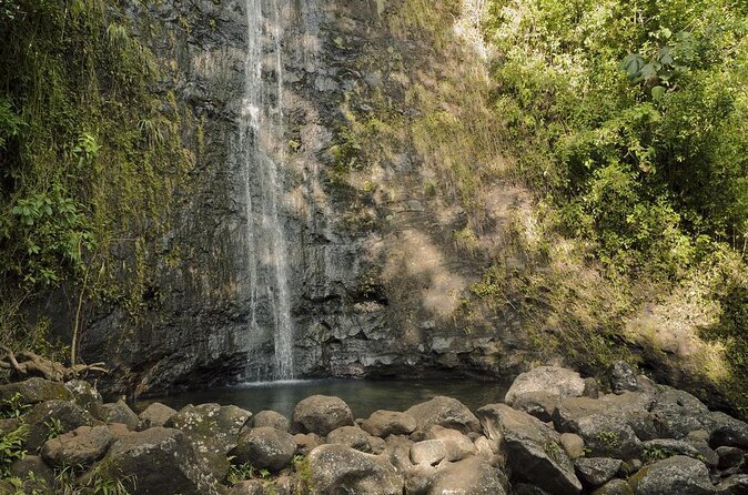 Manoa Falls-Electric Bike to Hike Experience Local meal included - Key highlights you’ll actually feel