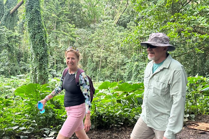 Manoa Falls-Electric Bike to Hike Experience Local meal included - Manōa Falls at 150 feet: mud, flash floods, and movie-location trivia