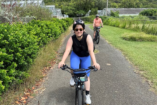 Manoa Falls-Electric Bike to Hike Experience Local meal included - The included meal and the guide approach: where the $179 feels justified