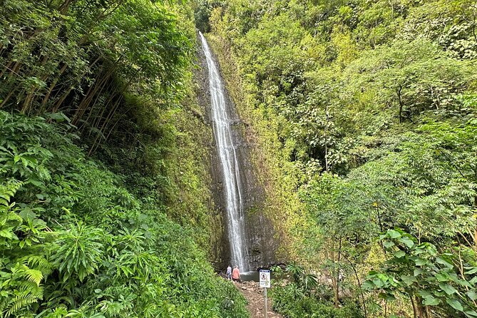 Manoa Falls-Electric Bike to Hike Experience Local meal included - Gliding toward Mānoa: quick campus stops that break up the ride