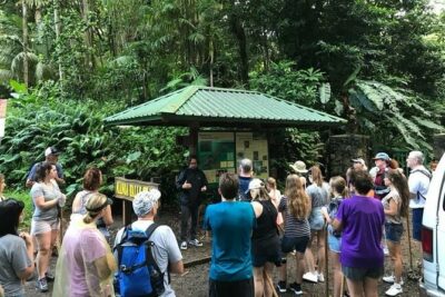 Manoa Falls Rainforest & Self-Guided Hike - Getting there from Waikiki: shuttle convenience without a full guided tour