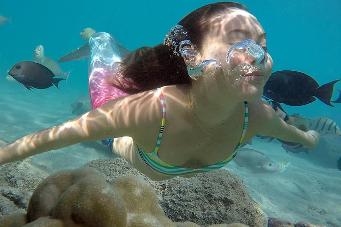 Mermaid Video shoot and Snorkel Adventure - Key things I’d bet on