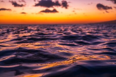 Moana’s Luxury semi-private Sunset Cruise on Nalu - Wildlife Watching That Isn’t Just Marketing