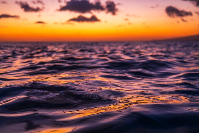 Moana’s Luxury semi-private Sunset Cruise on Nalu - Wildlife Watching That Isn’t Just Marketing