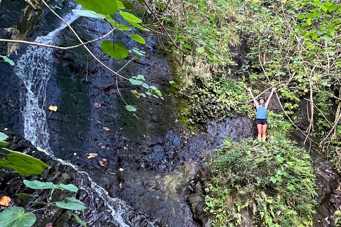 Nature Hike to Waterfall - Nu’uanu Pali: Windward Views Plus Island Context