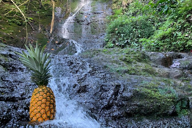 Nature Hike to Waterfall - What to Pack and How to Prepare