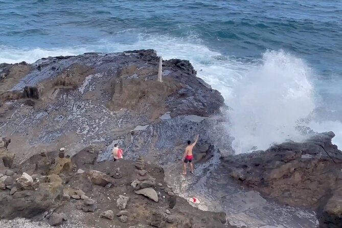 Next Level Oahu Circle Island Tour Snorkel w/Turtles and Byodo-In - Turtle Beach snorkel: your best chance at real wildlife time