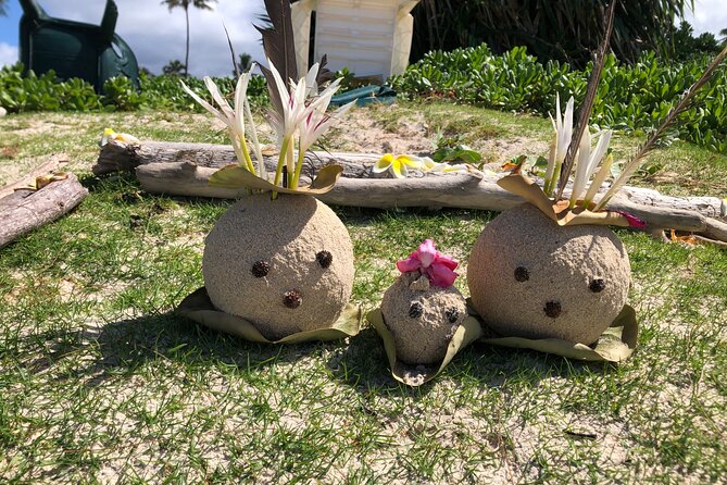 North Shore day,Waterfalls and Turtles Tour - Beach time for turtles: swimming, searching, and slowing down