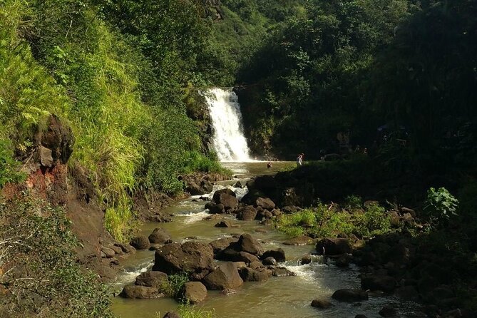 North Shore day,Waterfalls and Turtles Tour - Pickup, timing, and how to prepare for an 8-hour day