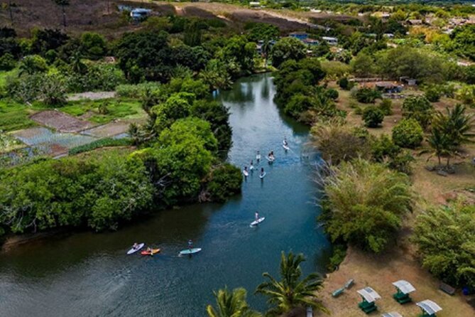 North Shore Farm: Anahulu River, Kayak-Sup, Turtles, Lunch & More - North Shore River and Turtle Moments: Why This Stops Feels Special