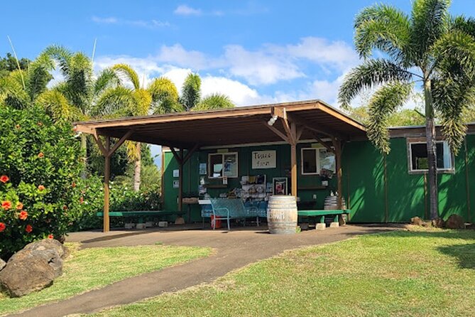 North Shore Farm: Anahulu River, Kayak-Sup, Turtles, Lunch & More - Honu Turtle Watching: How to See Them Without Turning It Into a Chase