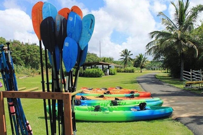 North Shore Farm: Anahulu River, Kayak-Sup, Turtles, Lunch & More - Price and Logistics: Value at $80, Plus What to Confirm