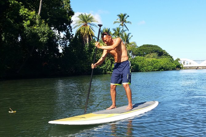 North Shore Stand-Up Paddleboard Lesson - The Anahulu River ride: brackish water, near-effortless current