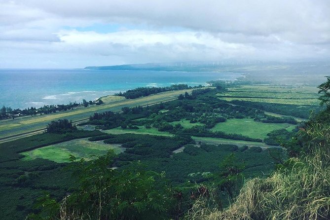 North Shore Tour Guide Hike - North Shore Tour Guide Hike: Quick Takeaways