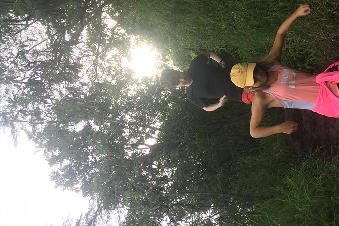 North Shore Tour Guide Hike - Price and Value: Is $76.93 Worth It?