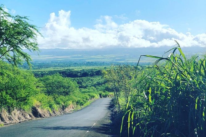 North Shore Tour Guide Hike - The Two-Hour Walk: What You’ll Do, and What You’ll Feel