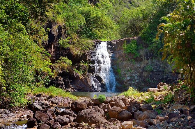 Northshore ocean adventure and circle islandJeep Tour- Guaranteed to see turtles - Ocean Time First: What the Included Water Gear Means for Your Day