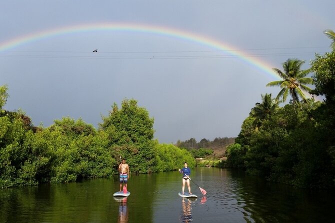 Northshore ocean adventure and circle islandJeep Tour- Guaranteed to see turtles - Sunset Beach and Halona Blowhole: Winter Waves and a Lava-Tube Surprise