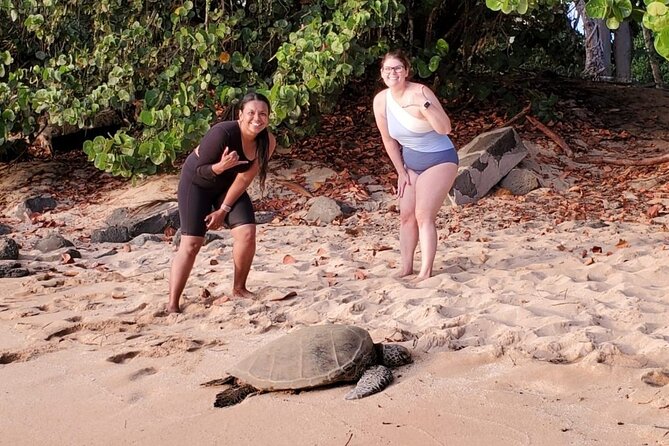 Northshore ocean adventure and circle islandJeep Tour- Guaranteed to see turtles - Makapu‘u Point and Nu‘uanu Pali: Big Wind Views and Wide, Useful Panoramas