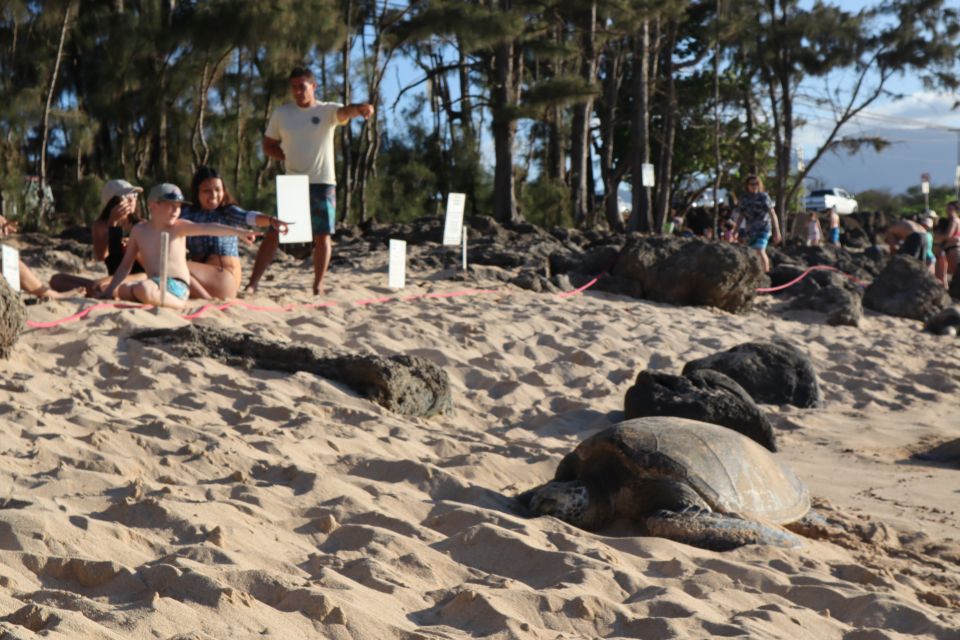 Oahu: Active Circle Island Tour - Makapu’u lighthouse hike and Pali Lookout’s big views