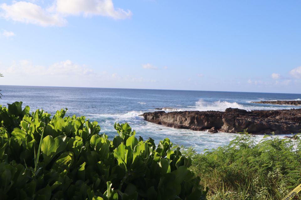 Oahu: Active Circle Island Tour - Macadamia farm, China Man’s Hat, and the Giovanni’s shrimp truck lunch