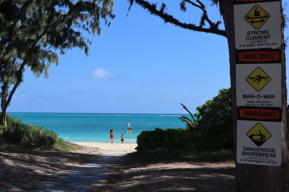 Oahu: Active Circle Island Tour - The optional Manoa Waterfall hike for extra effort