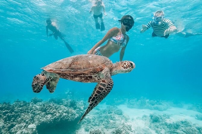 Oahu Allstar Circle Island Tour: Dole, Turtles, Blowhole, Fun - Kualoa Regional Park and Chinaman’s Hat: Movie-Lookouts with Real Coastline
