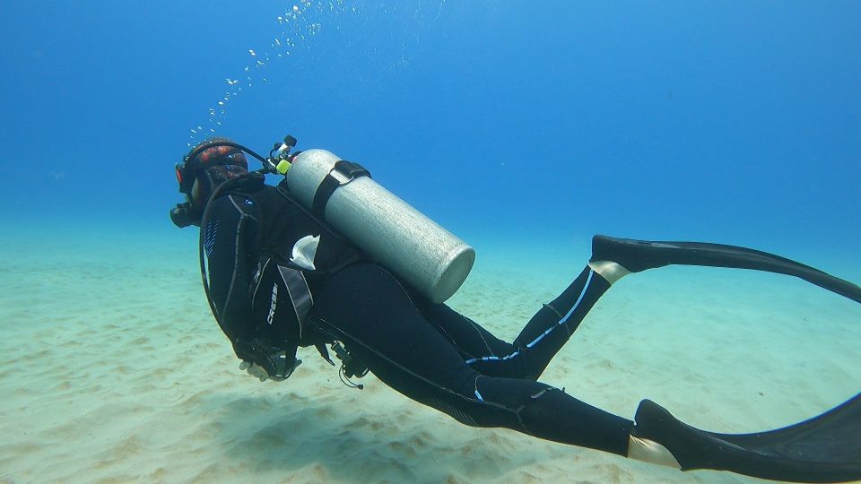 Oahu: Beginner SCUBA Dive at Electric Beach - Gear, What You Bring, and What’s Not Included