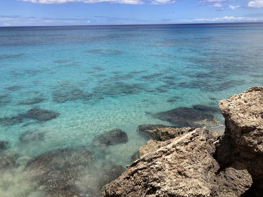 Oahu: Beginner SCUBA Dive at Electric Beach - Who Should Book This Electric Beach Underwater Intro (and Who Shouldn’t)