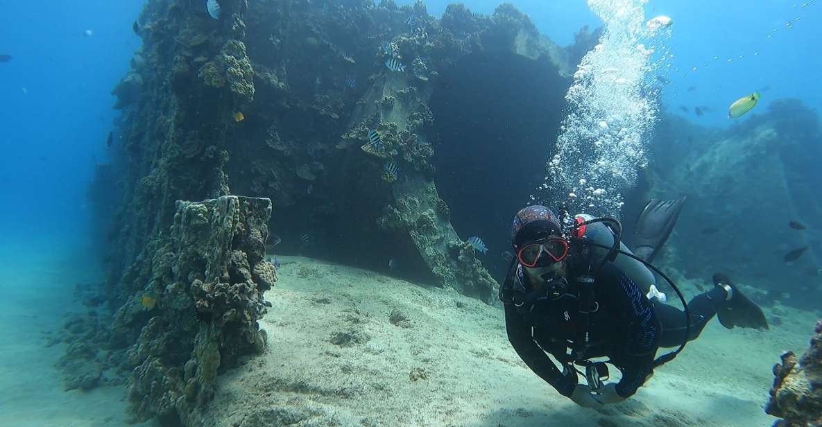 Oahu: Beginner SCUBA Dive at Electric Beach - Safety Briefing and the One-on-One Skills Session