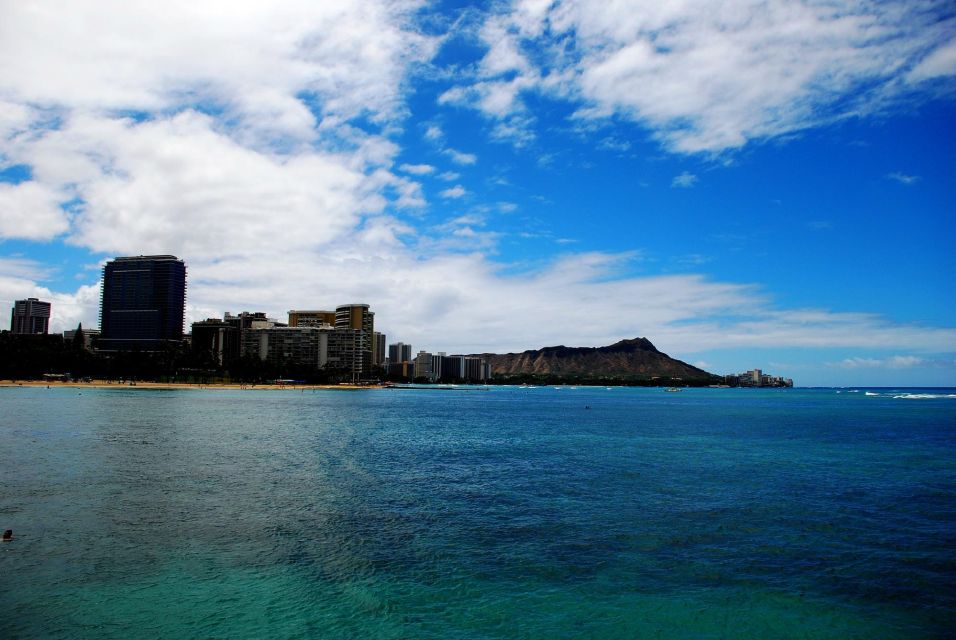 Oahu Boat Cruise to Diamond Head - What the Wildlife Watching Adds (Even If You Don’t See Everything)