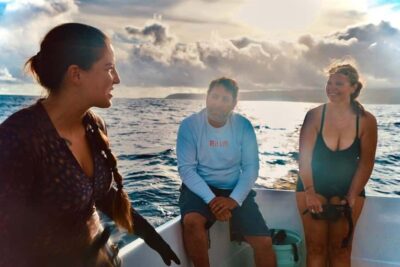 Oahu: Cageless Shark Dive Adventure - What You Might See: Manō Sharks, Pelagic Fish, and Winter Humpback Songs