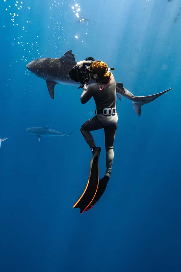Oahu: Cageless Shark Dive Adventure - Gear and What to Bring from Home