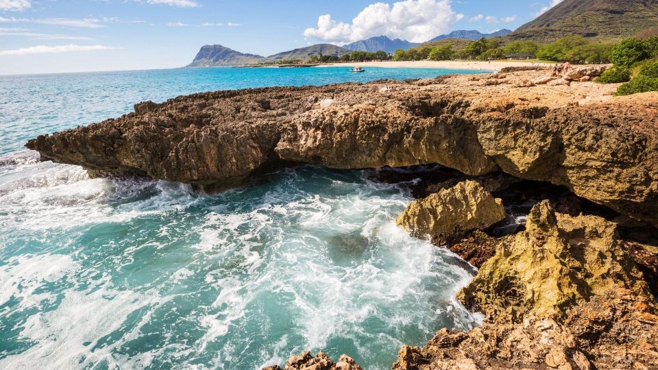Oahu Circle Island Tour - Best Spots & Beaches - Makapuʻu and beach season timing: what to expect with whales