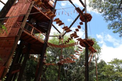 Oahu: Coral Crater Challenging Adventure Course - What You’ll Do in 1 Hour: Climb, Swing, and Jump Through 18 Elements