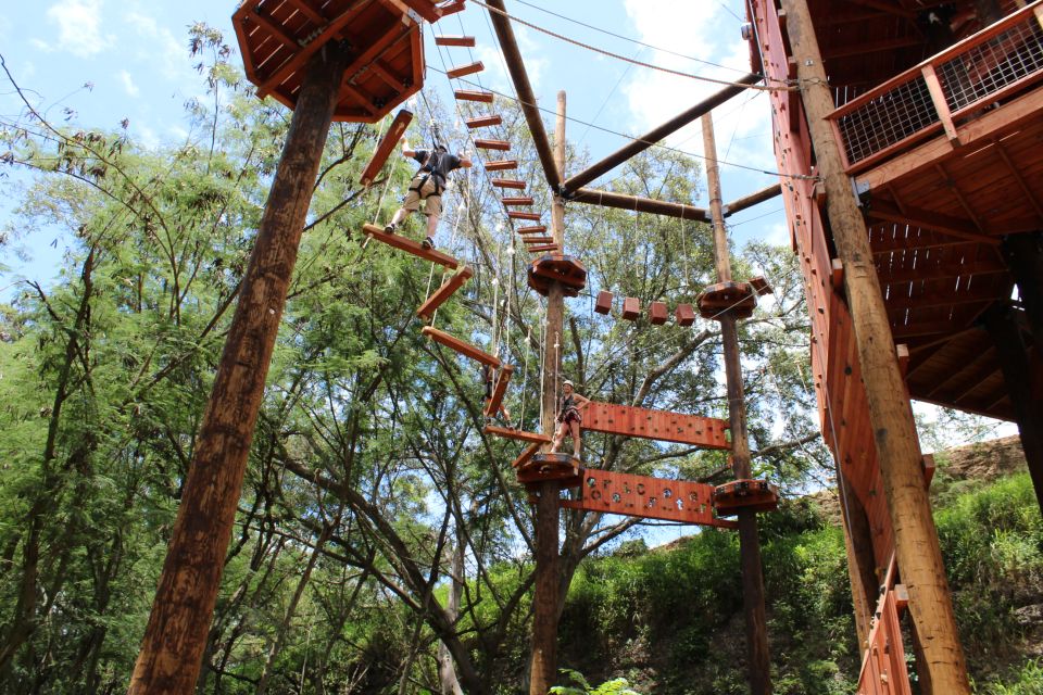 Oahu: Coral Crater Challenging Adventure Course - Timing Tips: Weather, Small Groups, and Getting Your Pacing Right