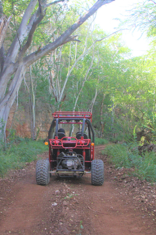 Oahu: Coral Crater Zipline and Offroad ATV Adventure - From Waikiki to Coral Crater: how this day actually feels