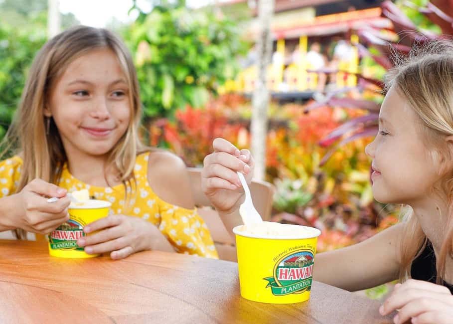 Oahu: Dole Plantation & Haleiwa Express Deluxe Tour - Key Things I’d Plan Around