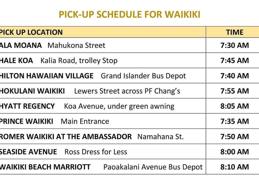 Oahu: Dole Plantation & Haleiwa Express Deluxe Tour - North Shore Time in Haleiwa: Lunch, Shopping, and Surf Culture