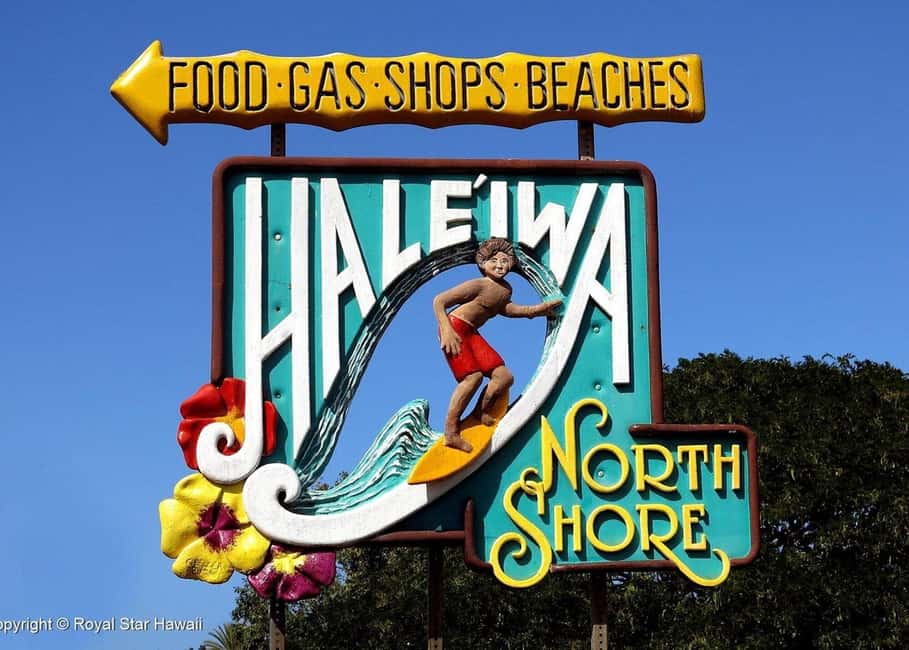 Oahu: Dole Plantation & Haleiwa Express Deluxe Tour - Value Check: Does $100 Pay Off?