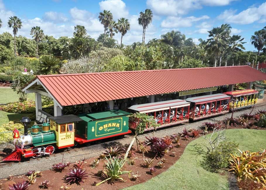 Oahu: Dole Plantation & Haleiwa Express Deluxe Tour - Who This Tour Fits Best (and Who Might Want Another Plan)