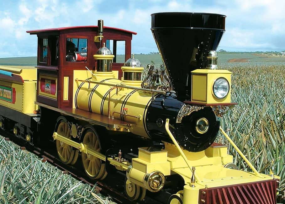 Oahu: Dole Plantation & Haleiwa Express Deluxe Tour - The Deluxe Motorcoach Details That Make a Difference