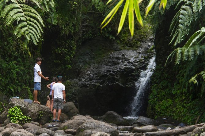 Oahu friendly hiking experience - Key highlights that matter on Oahu